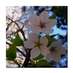 Sakura Ceramic Tile by DmitrysTravels