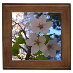 Sakura Framed Ceramic Tile