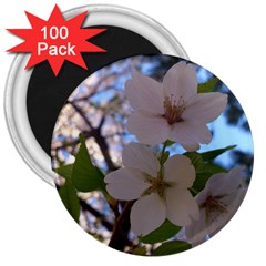 Sakura 3  Button Magnet (100 Pack) by DmitrysTravels