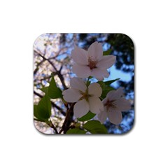 Sakura Drink Coaster (square)