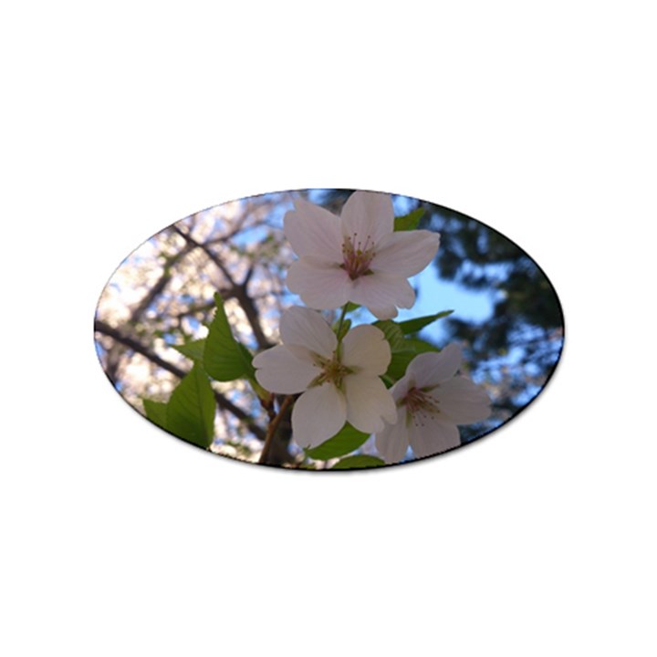 Sakura Sticker (Oval)