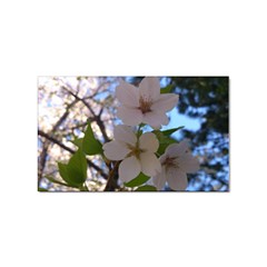 Sakura Sticker (rectangle) by DmitrysTravels