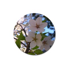 Sakura Magnet 3  (round) by DmitrysTravels