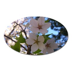 Sakura Magnet (oval) by DmitrysTravels