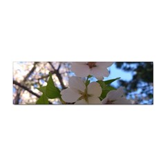 Sakura Bumper Sticker 10 Pack by DmitrysTravels