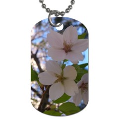 Sakura Dog Tag (two-sided)  by DmitrysTravels