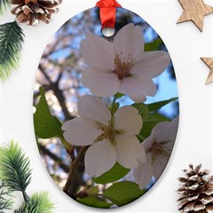 Sakura Oval Ornament (two Sides) by DmitrysTravels