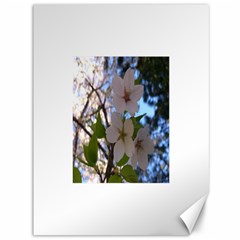 Sakura Canvas 36  X 48  (unframed) by DmitrysTravels