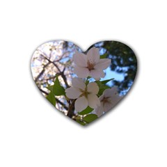 Sakura Drink Coasters 4 Pack (heart)  by DmitrysTravels