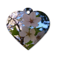 Sakura Dog Tag Heart (one Sided) 