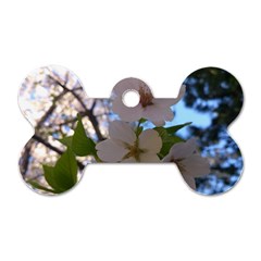 Sakura Dog Tag Bone (one Sided) by DmitrysTravels