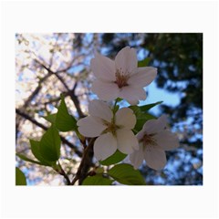 Sakura Glasses Cloth (small, Two Sided) by DmitrysTravels