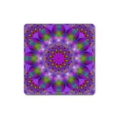 Rainbow At Dusk, Abstract Star Of Light Magnet (square) by DianeClancy