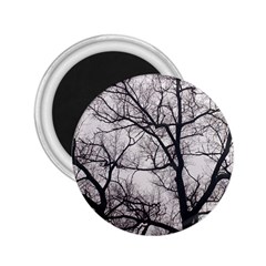 Tree 2 25  Button Magnet