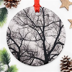 Tree Round Ornament by DmitrysTravels