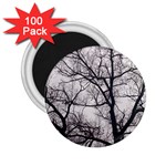 Tree 2.25  Button Magnet (100 pack) Front