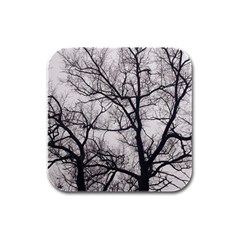 Tree Drink Coasters 4 Pack (square) by DmitrysTravels