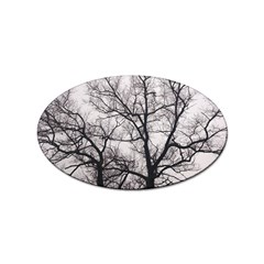 Tree Sticker (oval) by DmitrysTravels