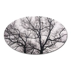 Tree Magnet (oval)