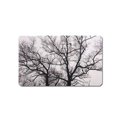 Tree Magnet (name Card) by DmitrysTravels