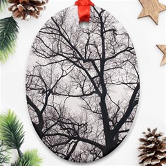 Tree Oval Ornament (two Sides)