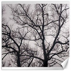 Tree Canvas 16  X 16  (unframed)