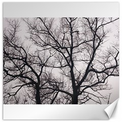 Tree Canvas 20  X 20  (unframed)