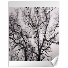 Tree Canvas 18  X 24  (unframed)