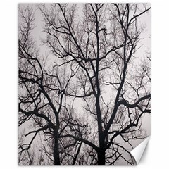 Tree Canvas 11  X 14  (unframed) by DmitrysTravels