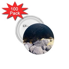 Atlantic Ocean 1 75  Button (100 Pack) by DmitrysTravels