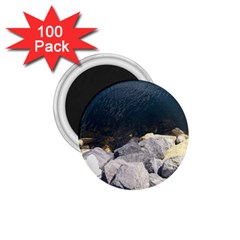 Atlantic Ocean 1 75  Button Magnet (100 Pack) by DmitrysTravels