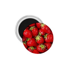 Strawberries 1 75  Button Magnet