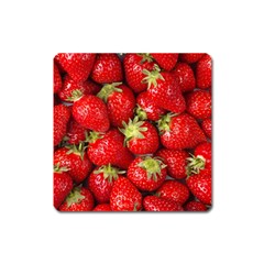 Strawberries Magnet (square) by SonderSkySecond