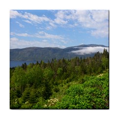 Newfoundland Ceramic Tile