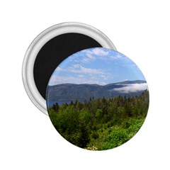 Newfoundland 2 25  Button Magnet