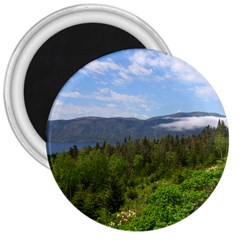 Newfoundland 3  Button Magnet by DmitrysTravels