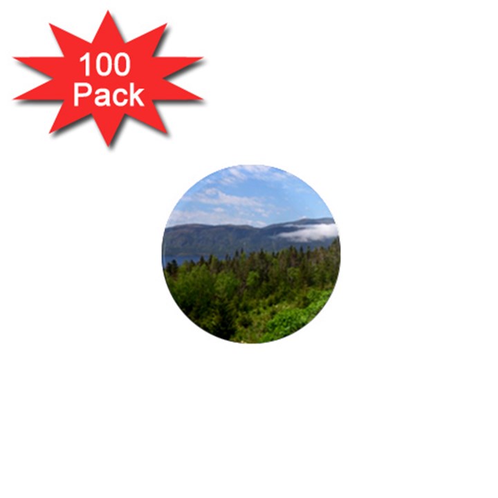 Newfoundland 1  Mini Button Magnet (100 pack)