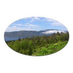 Newfoundland Magnet (oval)