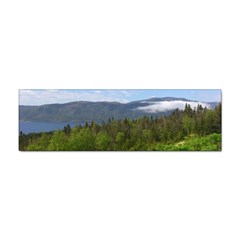 Newfoundland Bumper Sticker 10 Pack by DmitrysTravels