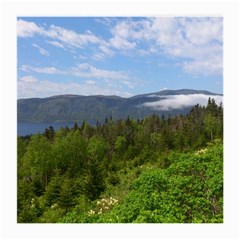 Newfoundland Glasses Cloth (medium, Two Sided)