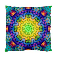 Psychedelic Abstract Cushion Case (single Sided)  by Colorfulplayground