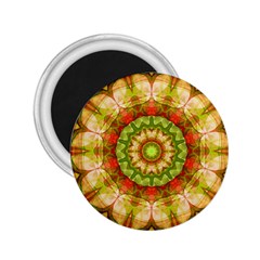 Red Green Apples Mandala 2 25  Button Magnet