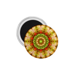 Red Green Apples Mandala 1 75  Button Magnet