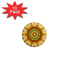 Red Green Apples Mandala 1  Mini Button Magnet (10 Pack)