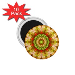 Red Green Apples Mandala 1 75  Button Magnet (10 Pack)