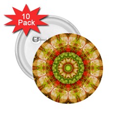 Red Green Apples Mandala 2 25  Button (10 Pack)