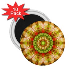 Red Green Apples Mandala 2 25  Button Magnet (10 Pack)