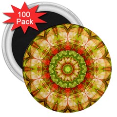 Red Green Apples Mandala 3  Button Magnet (100 Pack)