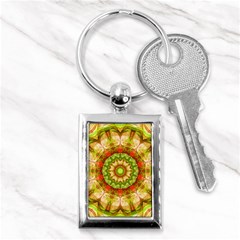 Red Green Apples Mandala Key Chain (rectangle) by Zandiepants