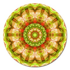 Red Green Apples Mandala Magnet 5  (round)